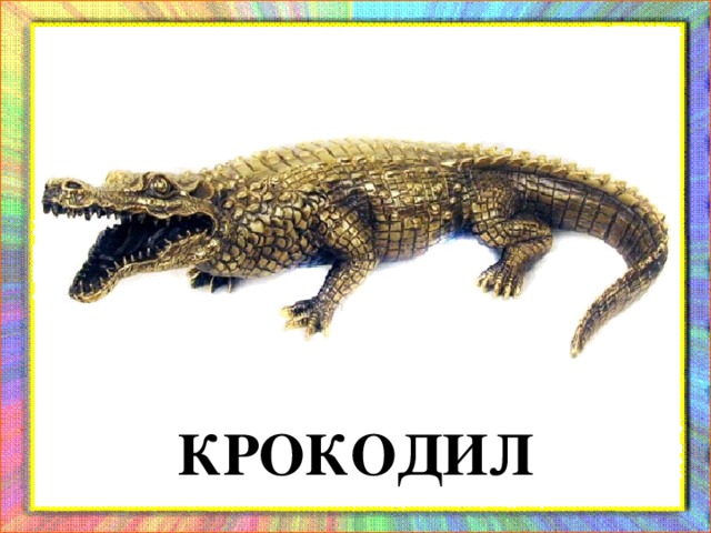 КРОКОДИЛ