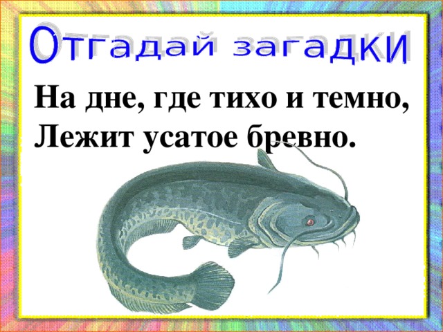 На дне она где. Загадка про сома. Загадка про сома для детей. Загадки про сома для дошкольников. Загадка про сома для детей 6-7 лет.