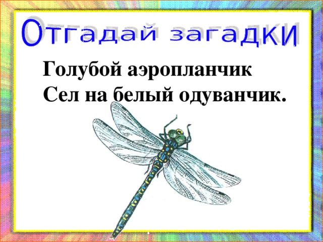 Загадки 2 класс литературное чтение. Отгадай загадку голубой аэропланчик сел на белый одуванчик. Голубой аэропланчик сел на белый о. Голубой аэропланчик. Загадка голубой аэропланчик сел на белый одуванчик 2 класс.