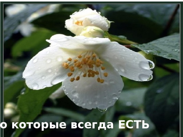 но которые всегда ЕСТЬ h