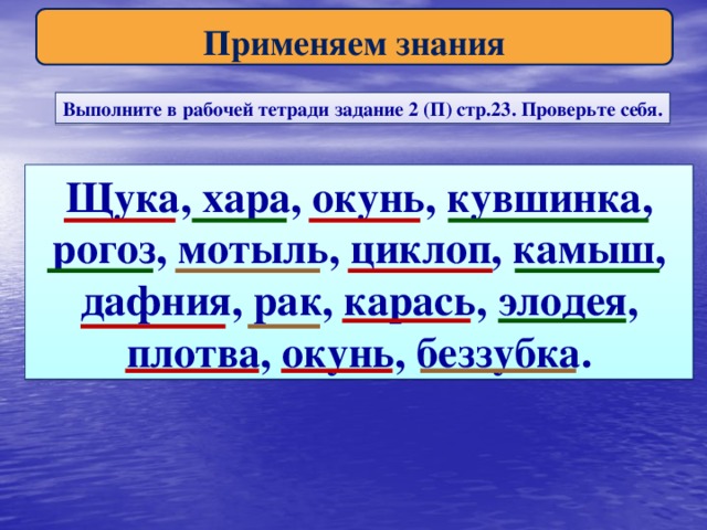 Применяем знания Выполните в рабочей тетради задание 2 (П) стр.23. Проверьте себя. Щука, хара, окунь, кувшинка, рогоз, мотыль, циклоп, камыш, дафния, рак, карась, элодея, плотва, окунь, беззубка.