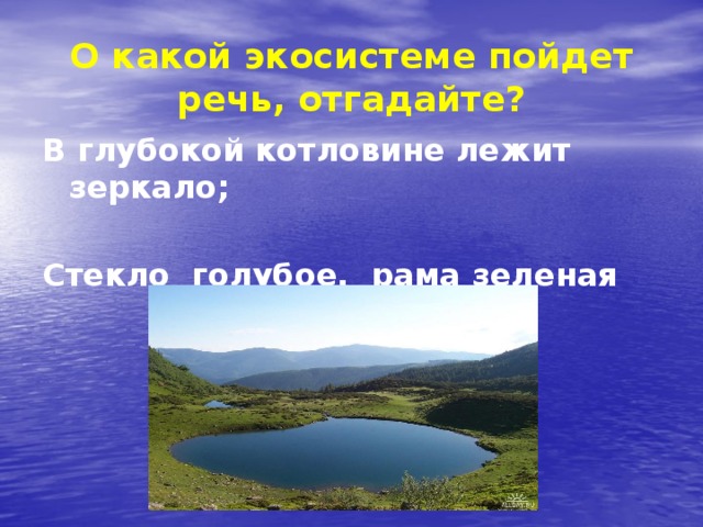 О какой экосистеме пойдет речь, отгадайте? В глубокой котловине лежит зеркало;  Стекло голубое, рама зеленая