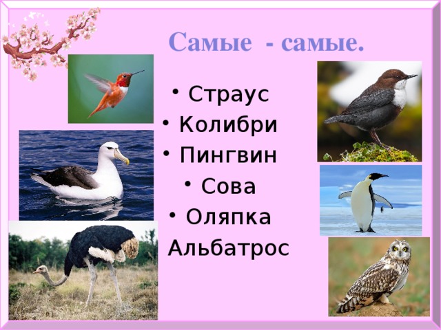 Самые - самые.