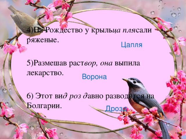 4)На Рождество у крыль ца пля сали ряженые. 5)Размешав раст вор, она выпила лекарство. 6) Этот ви д роз д авно разводится на Болгарии. Цапля Ворона Дрозд