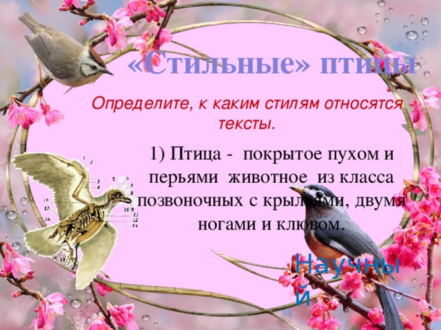 «Стильные» птицы Определите, к каким стилям относятся тексты. 1) Птица -  покрытое пухом и перьями животное из класса позвоночных с крыльями, двумя ногами и клювом. Научный