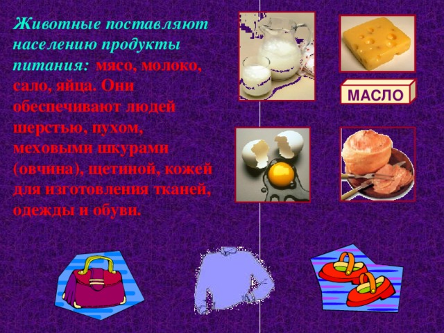 Животные поставляют населению продукты питания:  мясо, молоко, сало, яйца. Они обеспечивают людей шерстью, пухом, меховыми шкурами (овчина), щетиной, кожей для изготовления тканей, одежды и обуви. МАСЛО