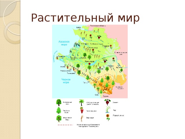 Карта природных зон Краснодарского края 4 класс кубановедение.