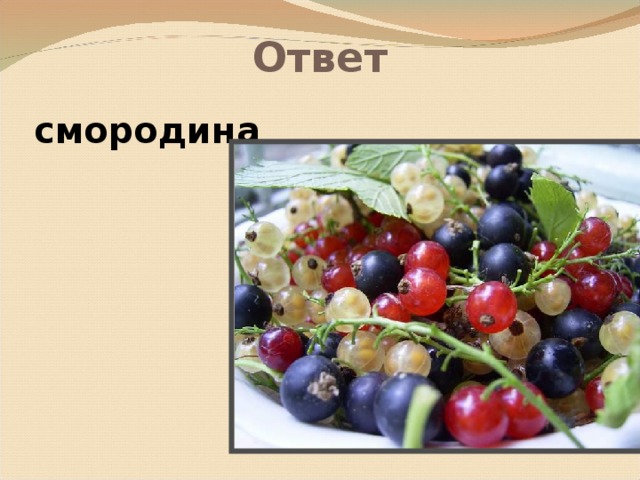 Ответ   смородина