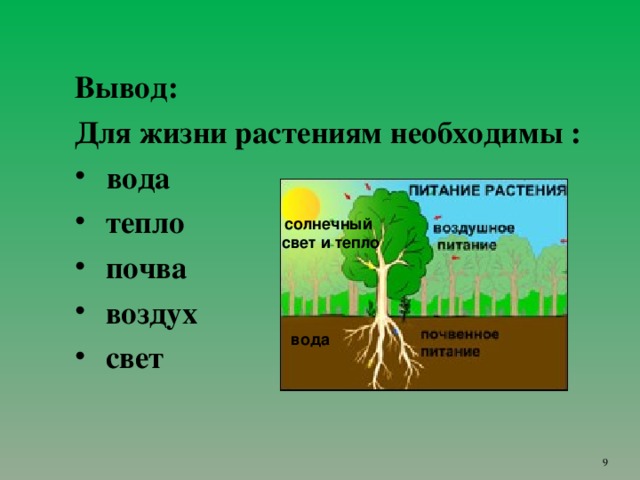 Вывод: Для жизни растениям необходимы :  вода  тепло  почва  воздух  свет солнечный  свет и тепло вода