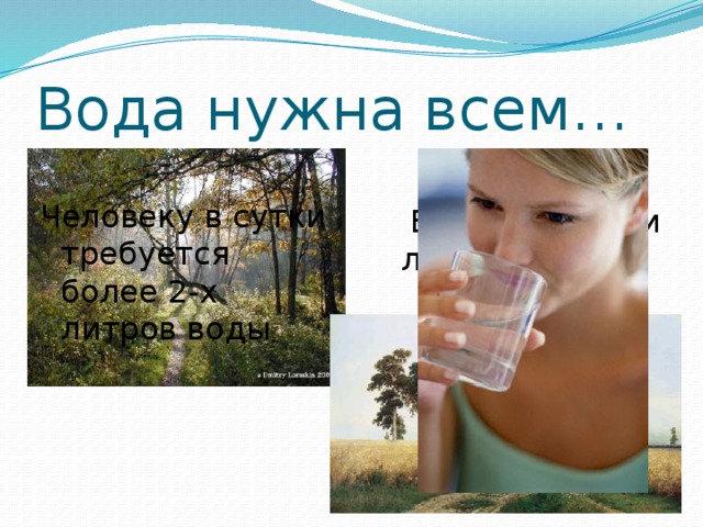 Вода нужна всем… Человеку в сутки требуется более 2-х литров воды  Ее пьют поля и леса