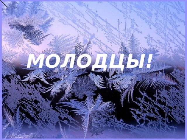 МОЛОДЦЫ!