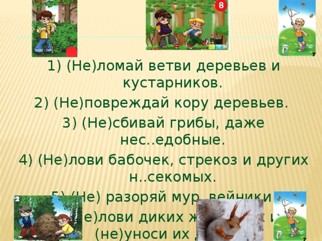 1) (Не)ломай ветви деревьев и кустарников. 2) (Не)повреждай кору деревьев. 3) (Не)сбивай грибы, даже нес..едобные. 4) (Не)лови бабочек, стрекоз и других н..секомых. 5) (Не) разоряй мур..вейники. 6) (Не)лови диких животных и (не)уноси их домой.