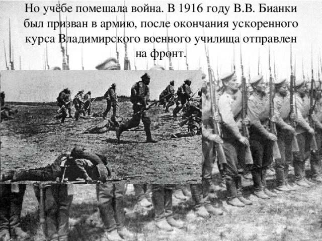 Но учёбе помешала война. В 1916 году В.В. Бианки был призван в армию, после окончания ускоренного курса Владимирского военного училища отправлен на фронт.