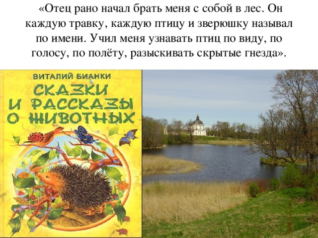 «Отец рано начал брать меня с собой в лес. Он каждую травку, каждую птицу и зверюшку называл по имени. Учил меня узнавать птиц по виду, по голосу, по полёту, разыскивать скрытые гнезда».