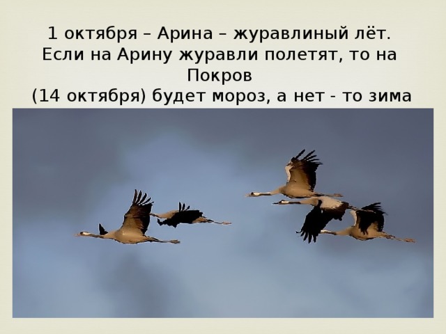 1 октября – Арина – журавлиный лёт. Если на Арину журавли полетят, то на Покров  (14 октября) будет мороз, а нет - то зима наступит позже.