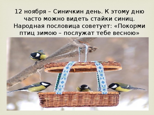 12 ноября – Синичкин день. К этому дню часто можно видеть стайки синиц. Народная пословица советует: «Покорми птиц зимою – послужат тебе весною»