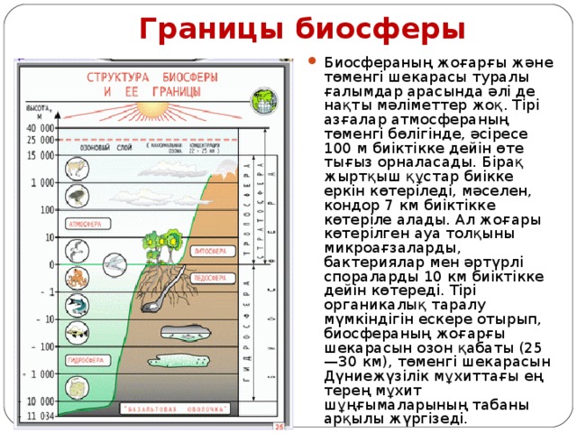 Нарисуй схему границы биосферы покажите штриховкой область земли в которой существует жизнь 6 класс