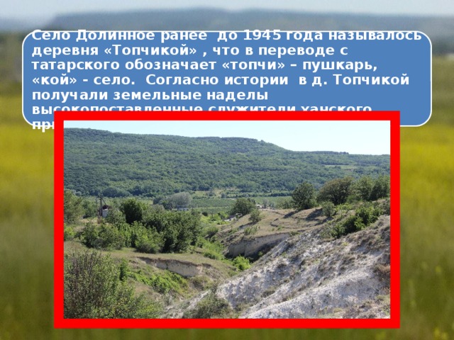 Село Долинное ранее до 1945 года называлось деревня «Топчикой» , что в переводе с татарского обозначает «топчи» – пушкарь, «кой» - село. Согласно истории в д. Топчикой получали земельные наделы высокопоставленные служители ханского придворного штата.