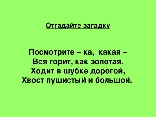 Отгадайте загадку Посмотрите – ка,  какая –  Вся горит, как золотая.  Ходит в шубке дорогой,  Хвост пушистый и большой.