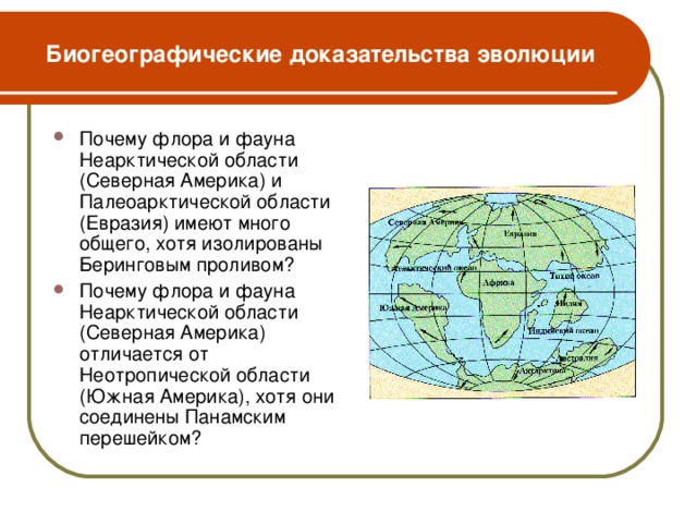 Биогеографические доказательства эволюции Почему флора и фауна Неарктической области (Северная Америка) и Палеоарктической области (Евразия) имеют много общего, хотя изолированы Беринговым проливом? Почему флора и фауна Неарктической области (Северная Америка) отличается от Неотропической области (Южная Америка), хотя они соединены Панамским перешейком?