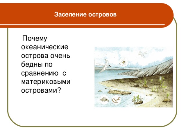 Заселение островов  Почему океанические острова очень бедны по сравнению с материковыми островами?