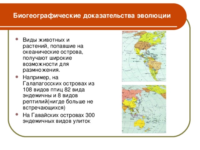 Биогеографические доказательства эволюции Виды животных и растений, попавшие на океанические острова, получают широкие возможности для размножения. Например, на Галапагосских островах из 108 видов птиц 82 вида эндемичны и 8 видов рептилий(нигде больше не встречающихся) На Гавайских островах 300 эндемичных видов улиток