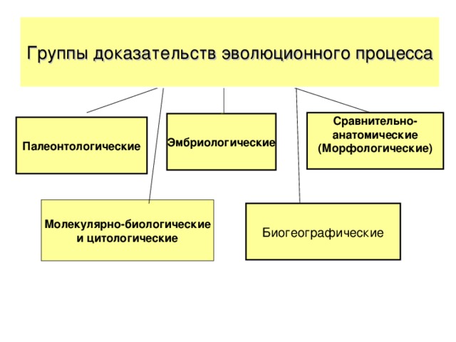 Группы доказательств эволюционного процесса Сравнительно- анатомические (Морфологические)  Эмбриологические Палеонтологические Молекулярно-биологические  и цитологические Биогеографические 5