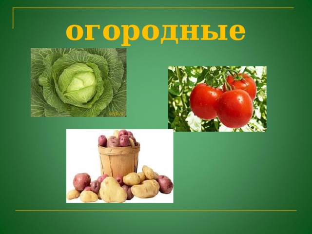 огородные