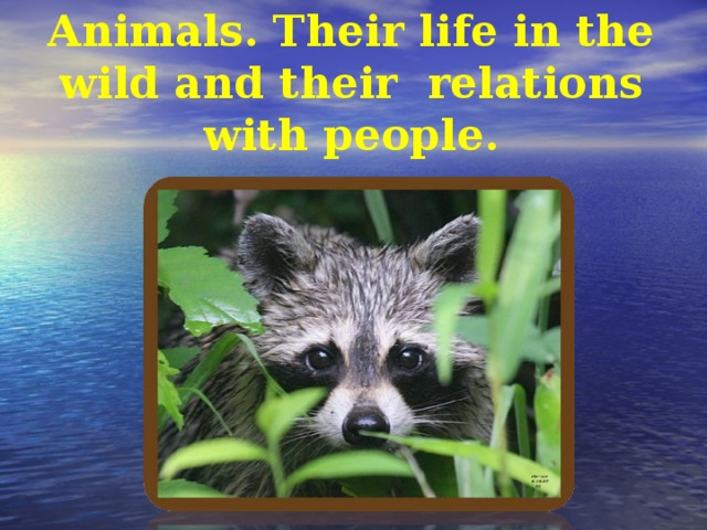 Animals. Their life in the wild and their relations with people.