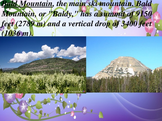 Bald Mountain , the main ski mountain. Bald Mountain, or 