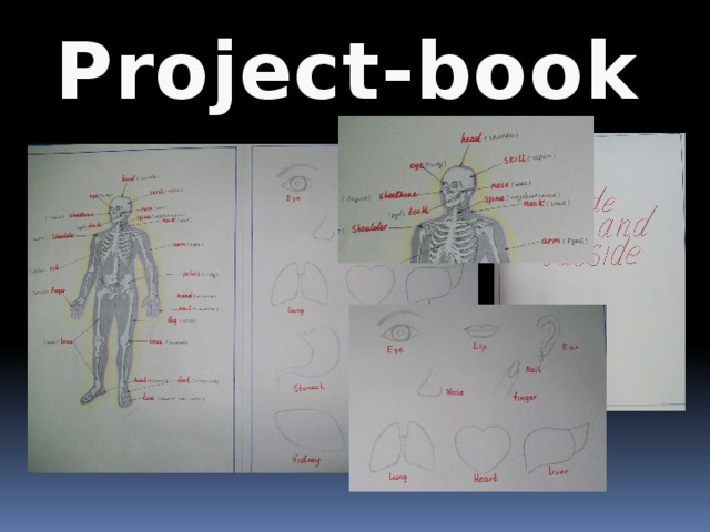 Рroject-book