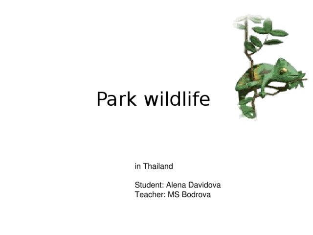 Park wildlife in Thailand Student : Alena Davidova Teacher : MS Bodrova