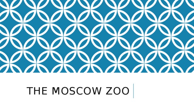 The Moscow zoo