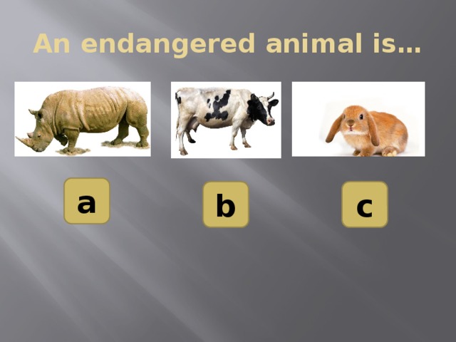 An endangered animal is… a b c