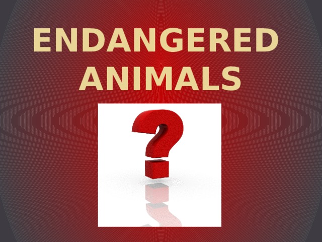 ENDANGERED  ANIMALS