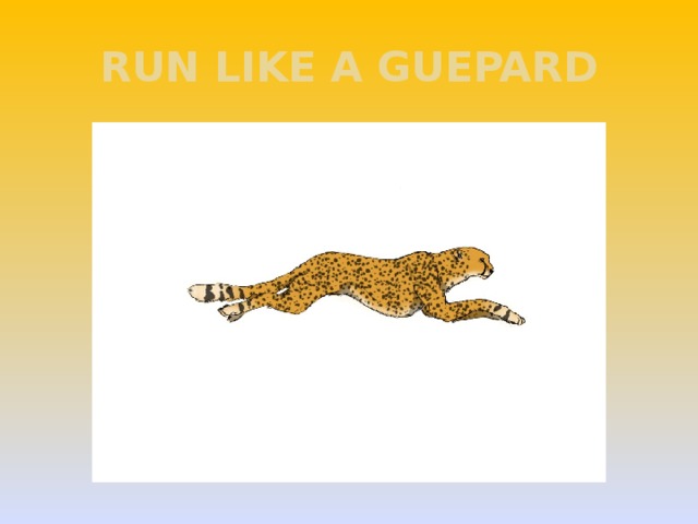 RUN LIKE A GUEPARD