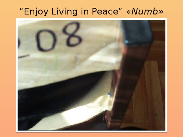 “ Enjoy Living in Peace” « Numb»