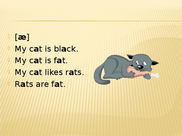 [ æ ] My c a t is bl a ck. My c a t is f a t. My c a t likes r a ts. R a ts are f a t.