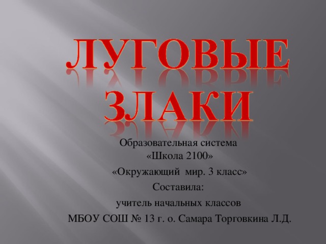 Образовательная система  «Школа 2100» «Окружающий мир. 3 класс» Составила: учитель начальных классов МБОУ СОШ № 13 г. о. Самара Торговкина Л.Д.