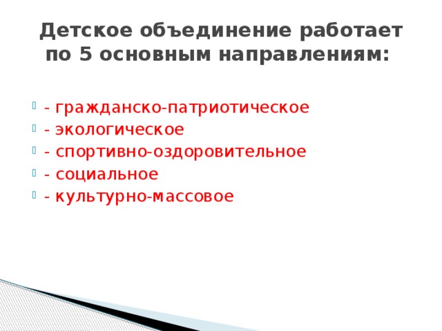 Детское объединение работает по 5 основным направлениям: