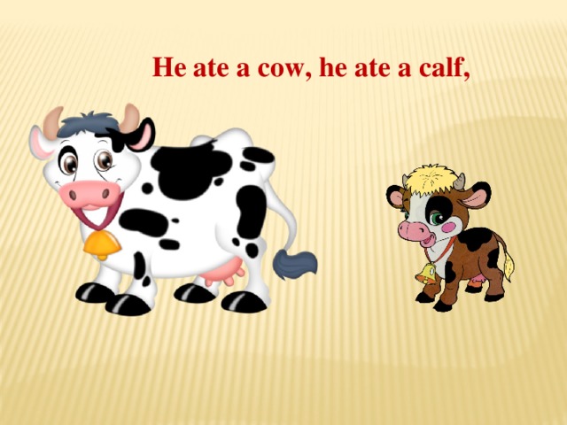 He ate a cow, he ate a calf,