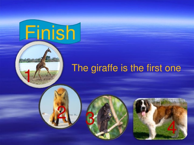 Finish The giraffe is the first one 1 2 3 4