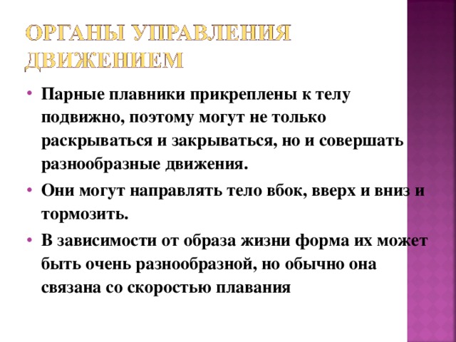 Парные плавники прикреплены к телу подвижно, поэтому могут не только раскрываться и закрываться, но и совершать разнообразные движения. Они могут направлять тело вбок, вверх и вниз и тормозить. В зависимости от образа жизни форма их может быть очень разнообразной, но обычно она связана со скоростью плавания