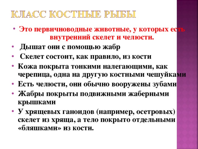 Это первичноводные животные, у которых есть внутренний скелет и челюсти.  Дышат они с помощью жабр  Скелет состоит, как правило, из кости Кожа покрыта тонкими налегающими, как черепица, одна на другую костными чешуйками Есть челюсти, они обычно вооружены зубами Жабры покрыты подвижными жаберными крышками У хрящевых ганоидов (например, осетровых) скелет из хряща, а тело покрыто отдельными «бляшками» из кости.