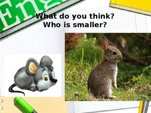 What do you think?  Who is smaller?