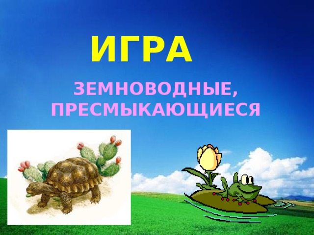 ИГРА ЗЕМНОВОДНЫЕ, ПРЕСМЫКАЮЩИЕСЯ