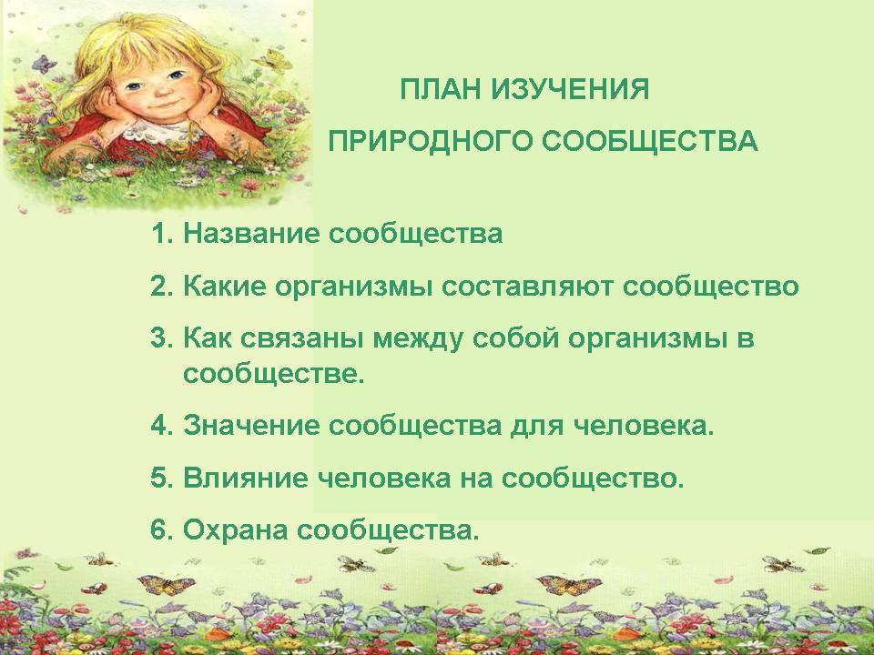 План изучения природного сообщества природного