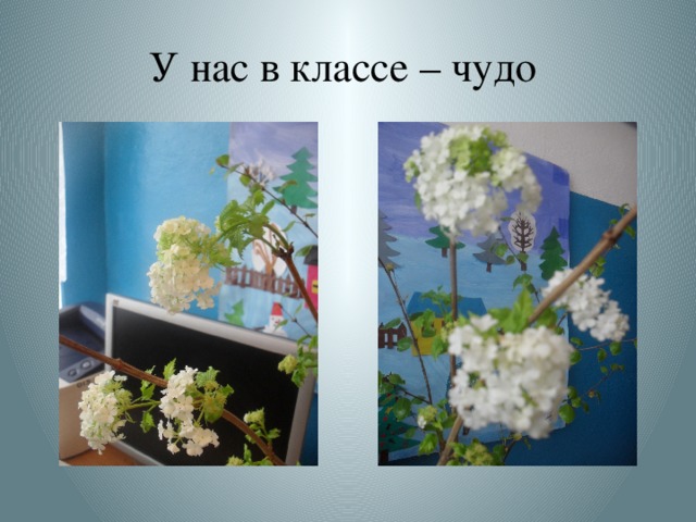 У нас в классе – чудо