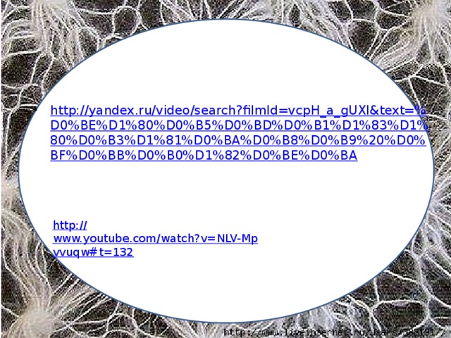 http://yandex.ru/video/search?filmId=vcpH_a_gUXI&text=% D0%BE%D1%80%D0%B5%D0%BD%D0%B1%D1%83%D1%80%D0%B3%D1%81%D0%BA%D0%B8%D0%B9%20%D0%BF%D0%BB%D0%B0%D1%82%D0%BE%D0%BA http:// www.youtube.com/watch?v=NLV-Mpvvuqw#t=132