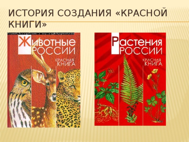История создания «Красной книги»